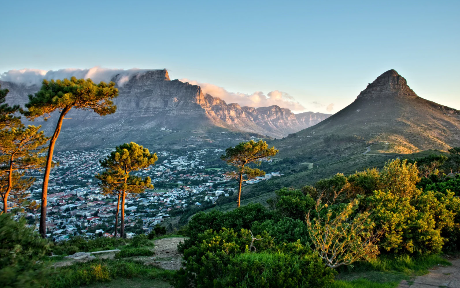 Biltong : la viande séchée venue de l’Afrique du Sud qui séduit la France