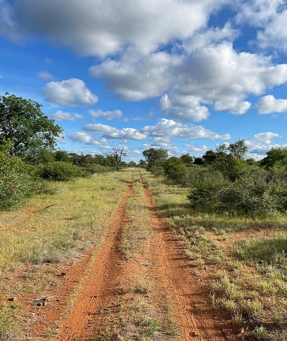 Voyage en Afrique du Sud avec Monsieur Biltong. Monsieur Biltong : Biltong prêt à déguster. Produit à partir de viande de boeuf français, mariné et délicatement séché dans l'atelier de Lomme (Hauts-de-France). Recette originaire d'Afrique du Sud mais made in France